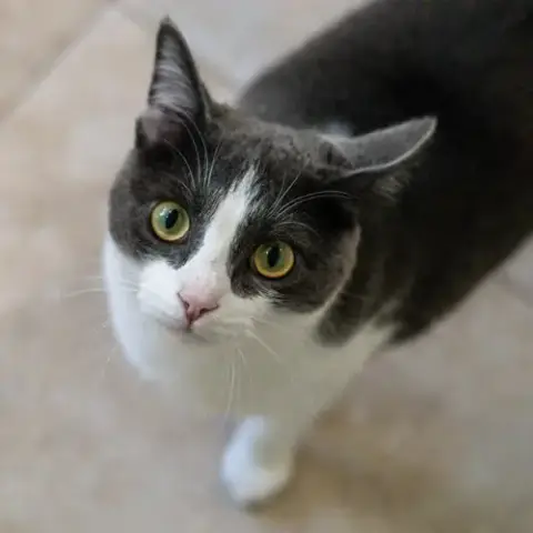 Izzy photo 3