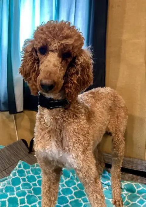 Layla Feb 26