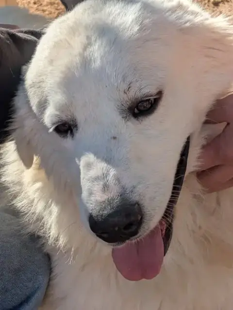 Yukon