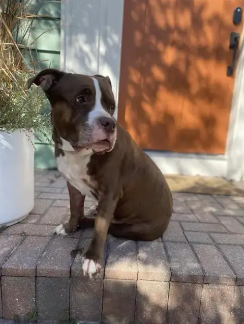 Doug photo 4