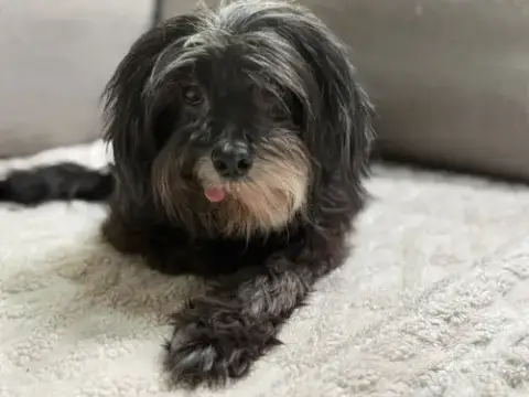 Sid