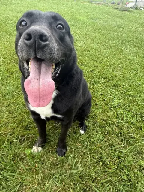 Franklin photo 2