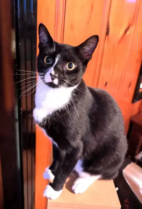 Kitty Omaire photo 2