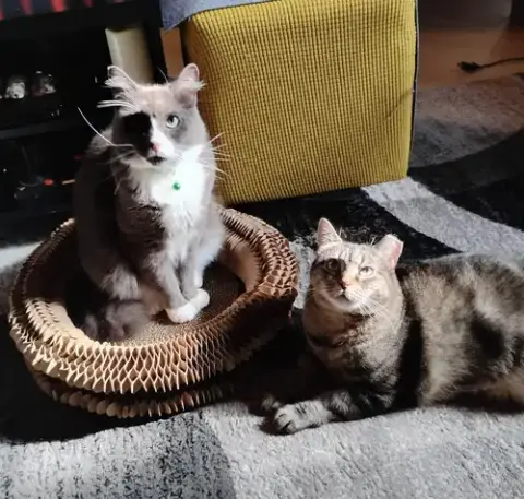 Willow And Flopper photo 4