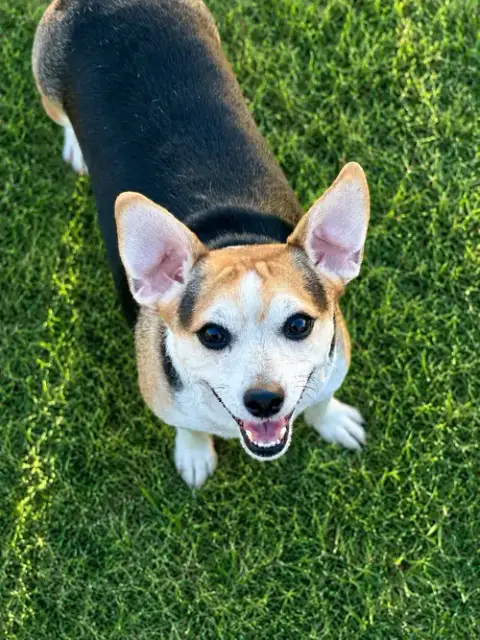 Sweet Girl Lamore Aug 22