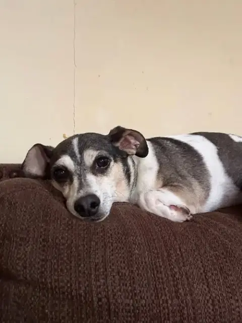 Luke-In A Foster Home photo 3
