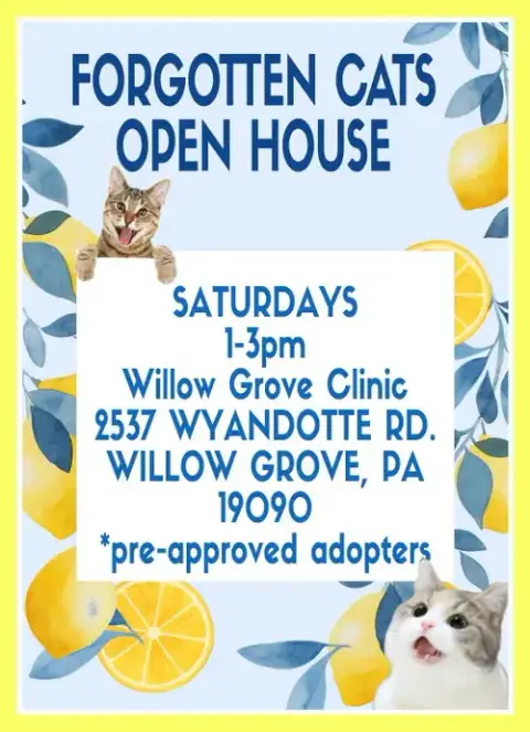 Willow Grove Pa Clinic/Shelter Open House July 11