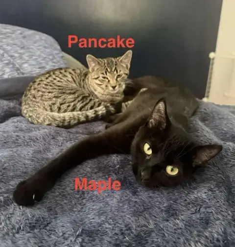 Pancake photo 4