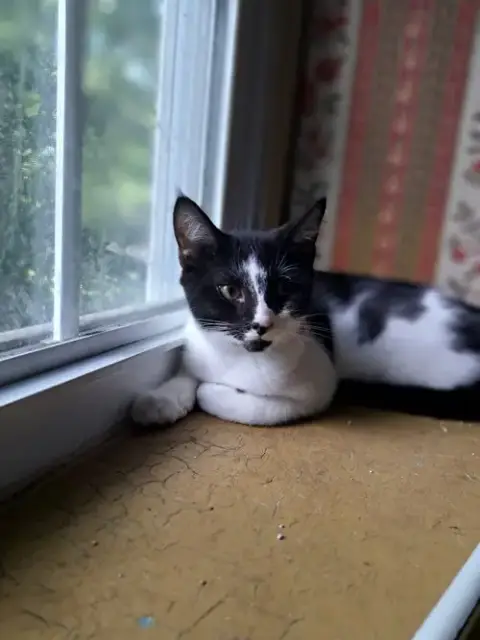 Duncan photo 2