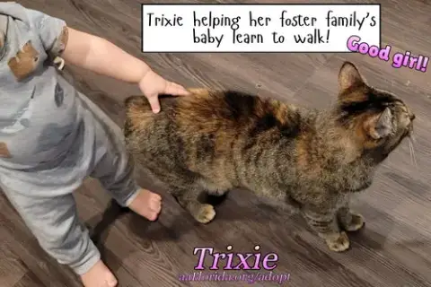 Trixie photo 2