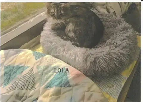 Lola