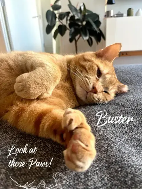 Buster