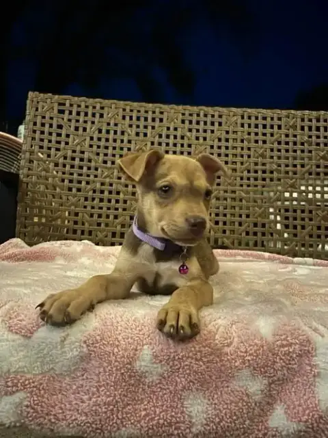 Bella photo 4