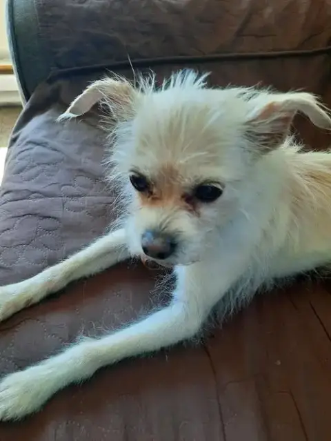 Tiptoe