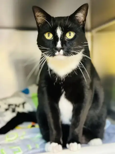 Salem photo 2