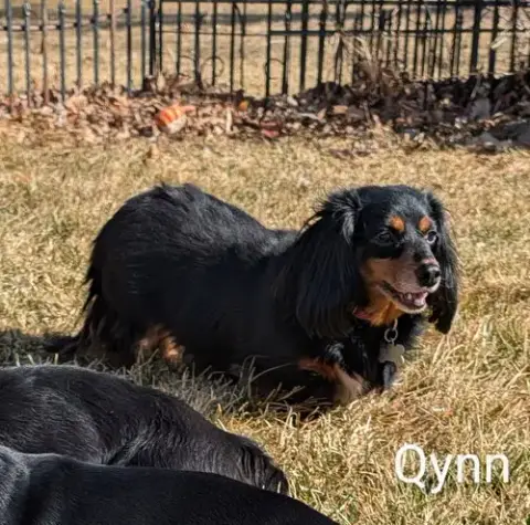 Qynn photo 4