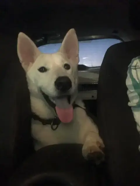 Jake photo 4