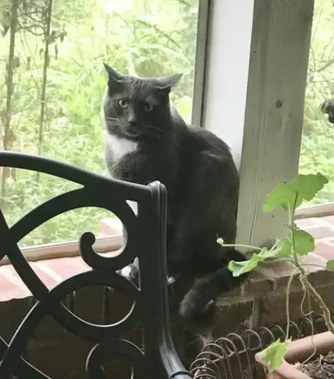 Buddy photo 2