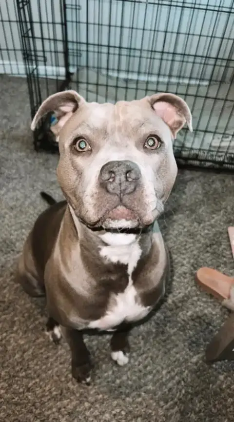 Marley
