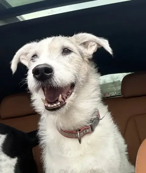 Roscoe