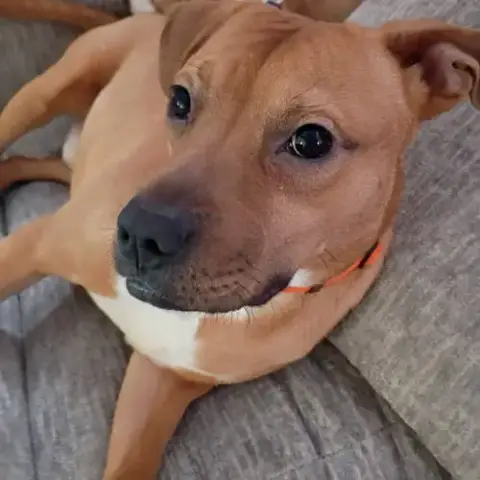 Toblerone