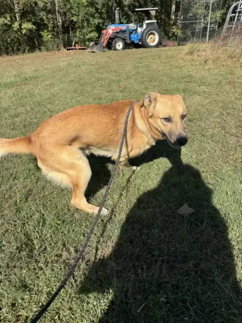Rusty photo 2