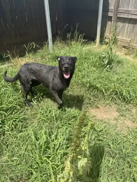 Audrey photo 2