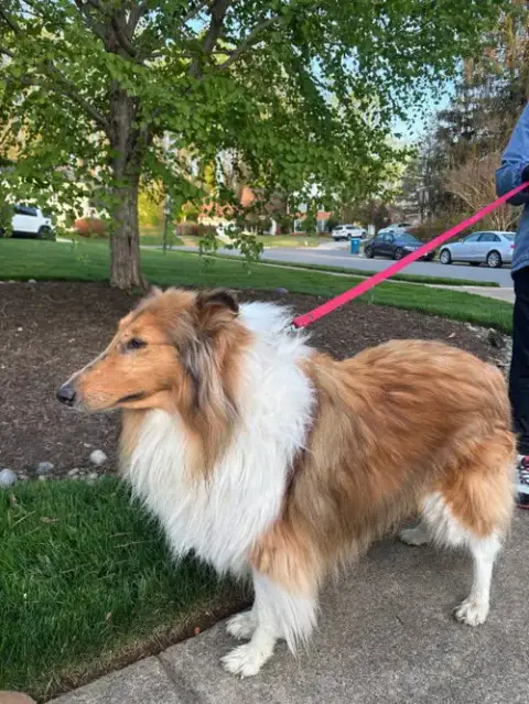 Charlie photo 4
