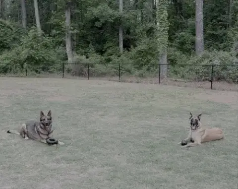 Gray- Nc photo 3
