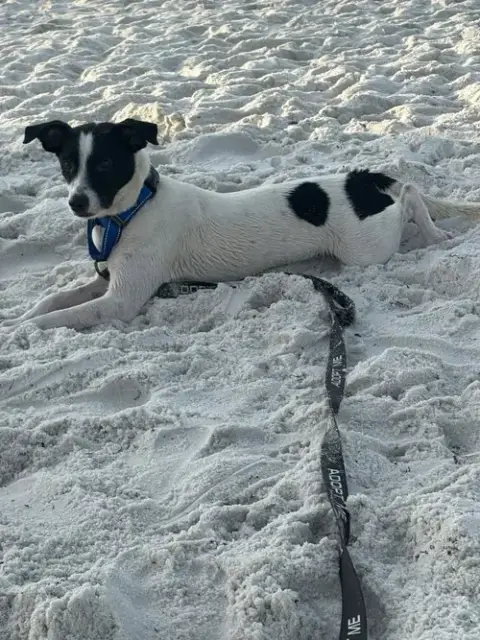 Obi photo 3