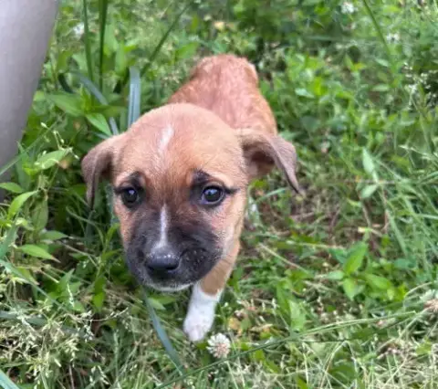 Jenny photo 2