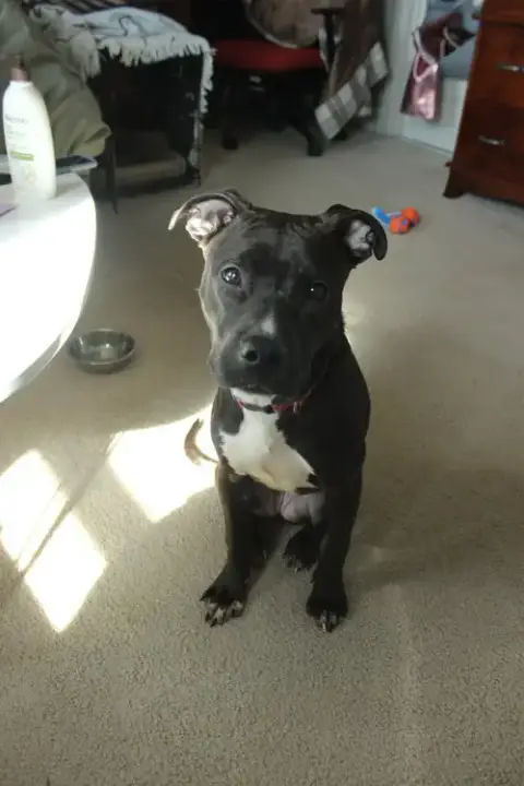 Rory In Washington Dc