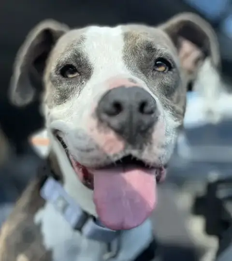 Pretty Princess Foster Needed Too! photo 5