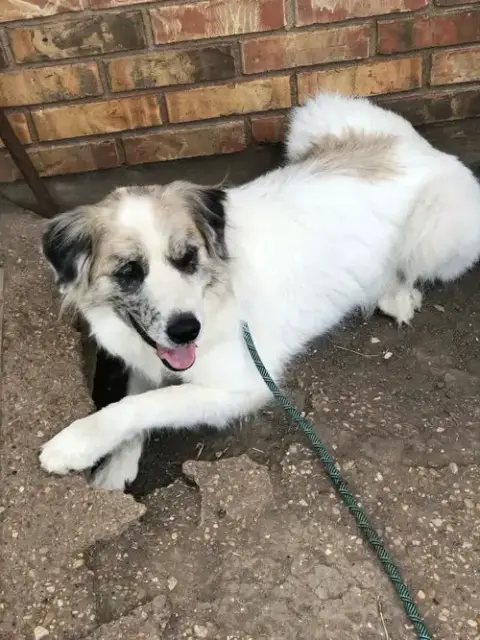 Tucker photo 5
