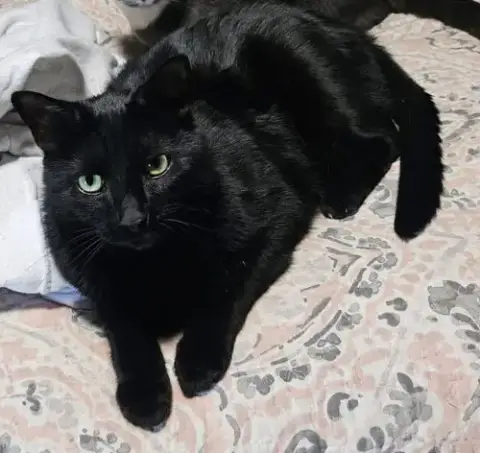 Freya: My Home To Yours: Not At Shelter photo 2