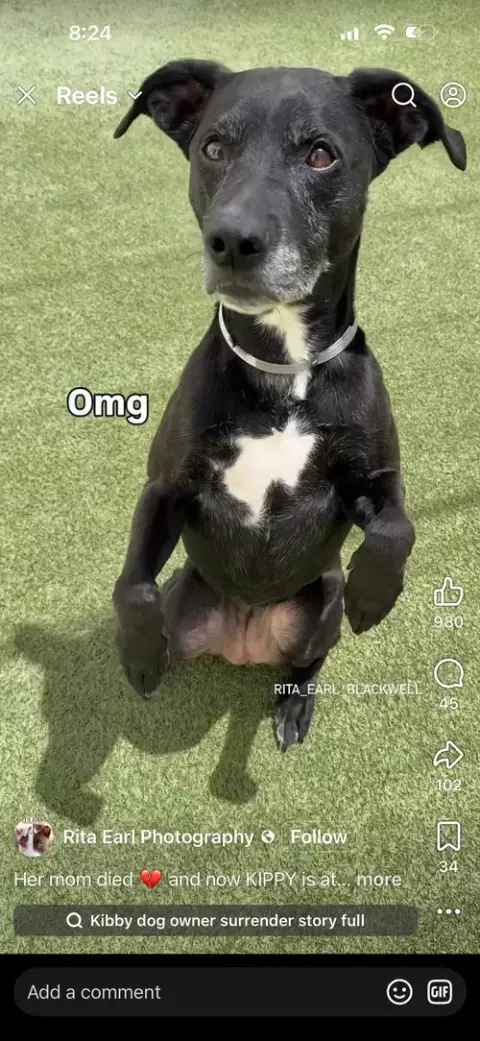 Kippy