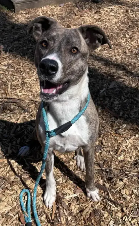 Sophia: Not At The Shelter photo 2