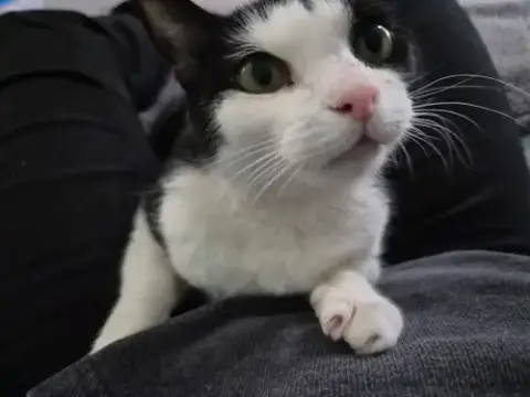 Keebler