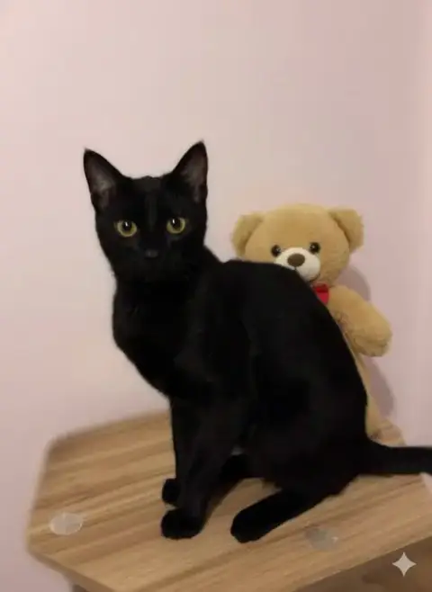 Chiquita