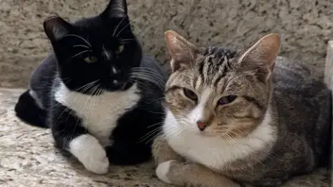 Pepper & Angel