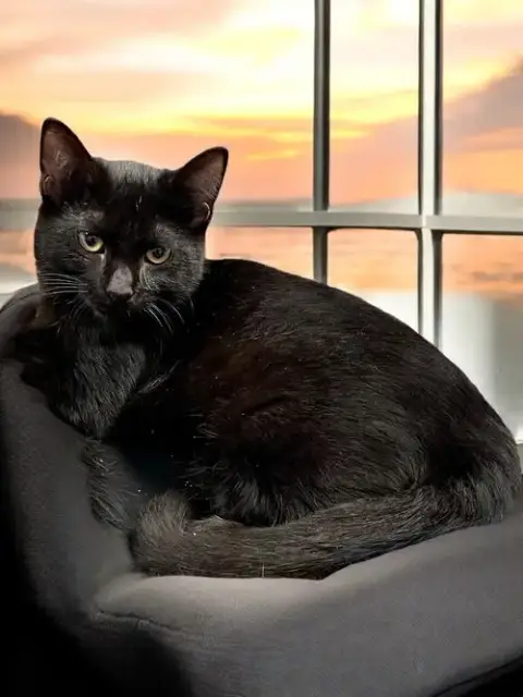 Zeke photo 3
