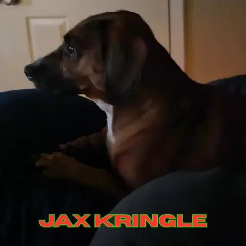 Jax Kringle photo 4