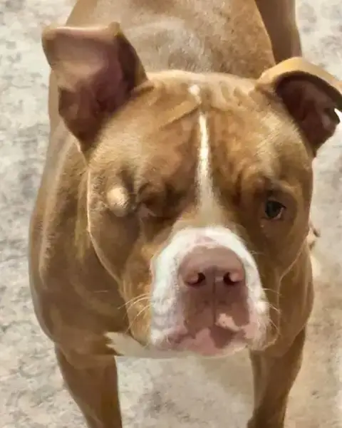 Angelic Aka Angel