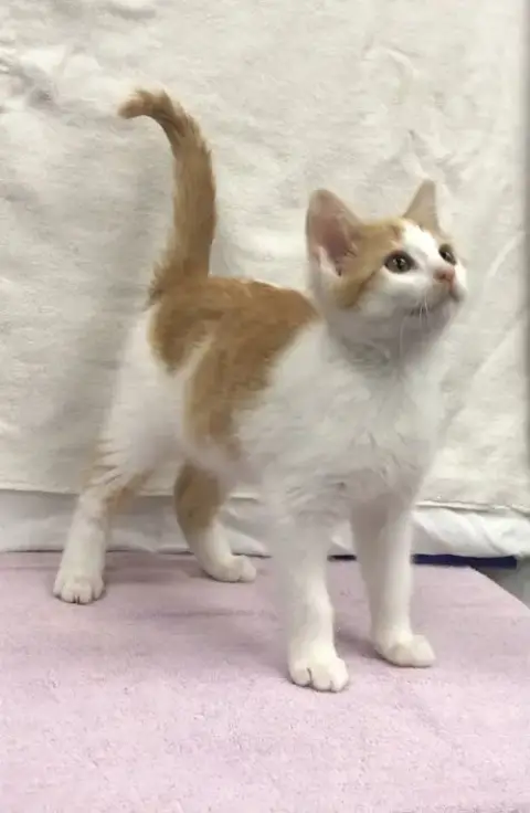 Zeus photo 2