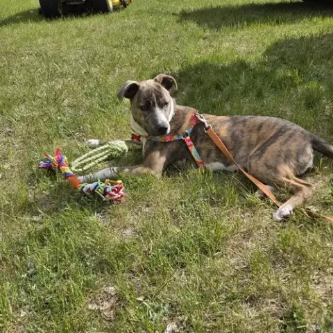 Kaiyah photo 2