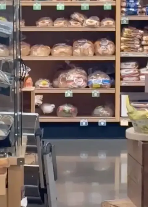 Sourdough