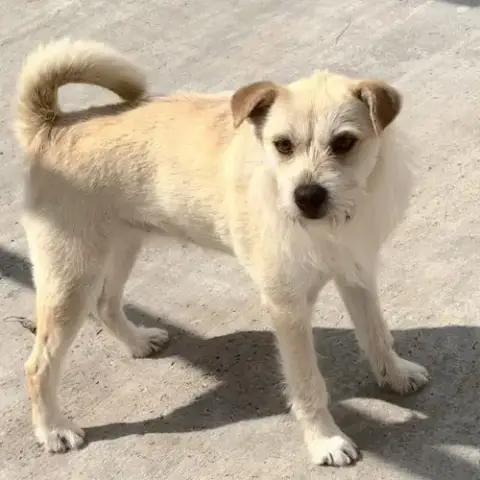 Ella photo 2