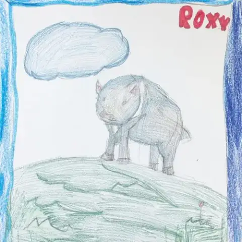 Roxy photo 3