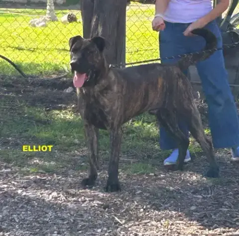 Eliott photo 2