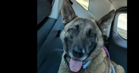 Bianca Located In Michigan